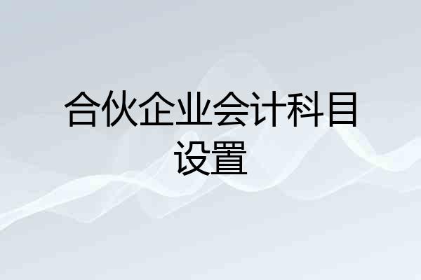 合伙企业会计科目设置
