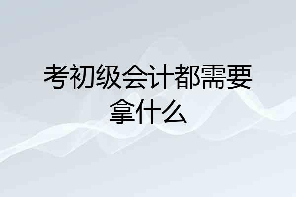 考初级会计都需要拿什么