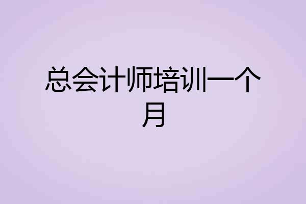 总会计师培训一个月
