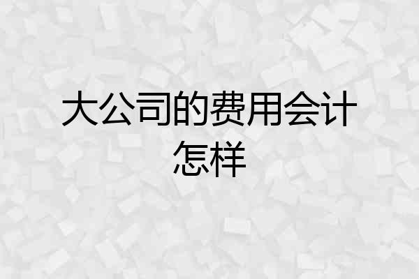 大公司的费用会计怎样