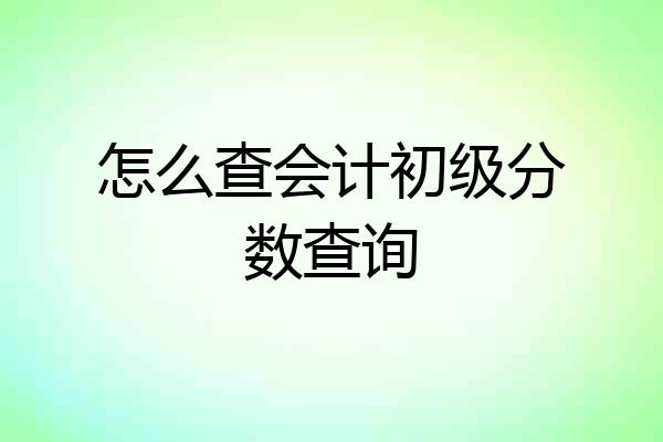 怎么查会计初级分数查询
