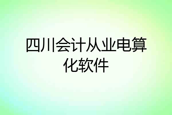 四川会计从业电算化软件