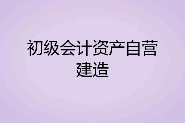 初级会计资产自营建造
