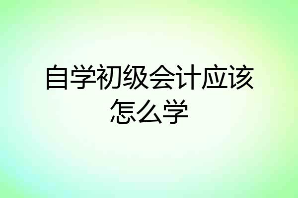 自学初级会计应该怎么学