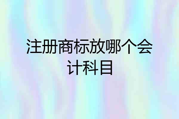 注册商标放哪个会计科目