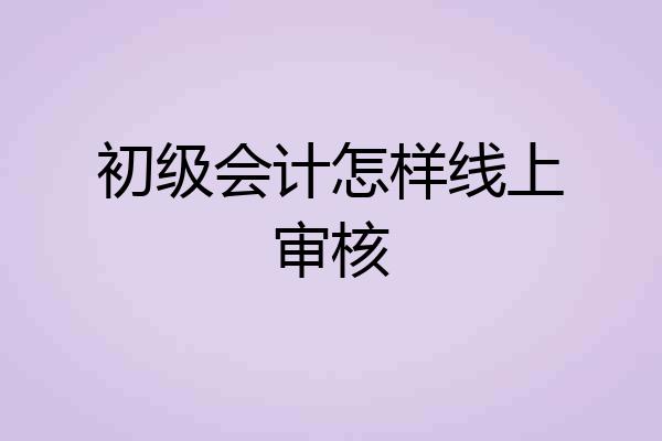 初级会计怎样线上审核