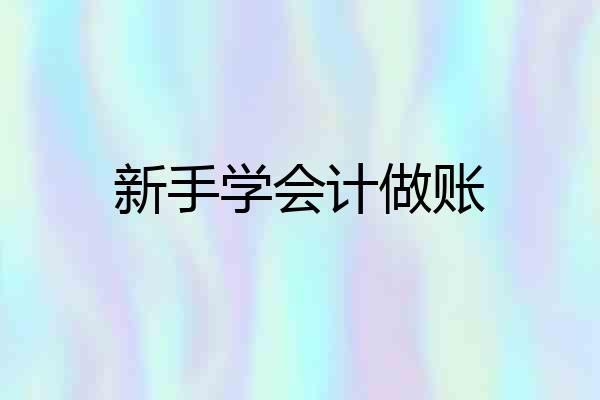 新手学会计做账