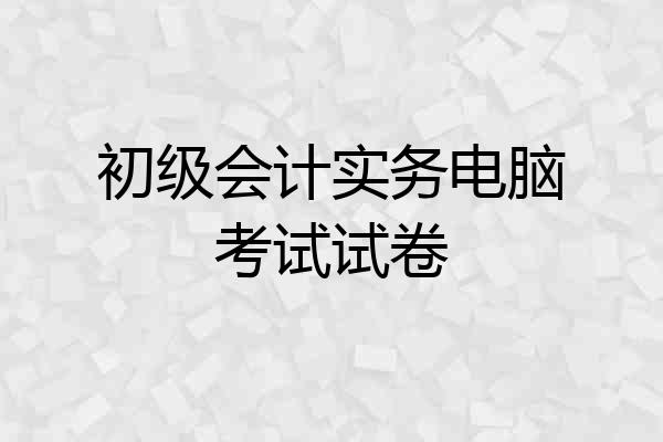 初级会计实务电脑考试试卷