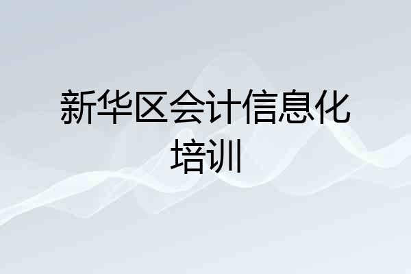 新华区会计信息化培训