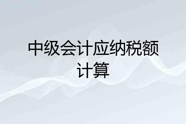 中级会计应纳税额计算