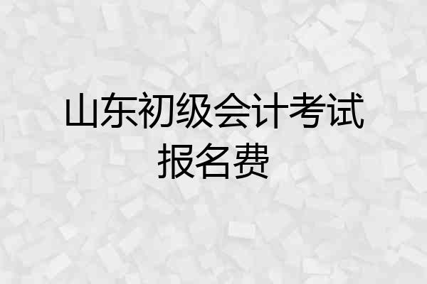 山东初级会计考试报名费