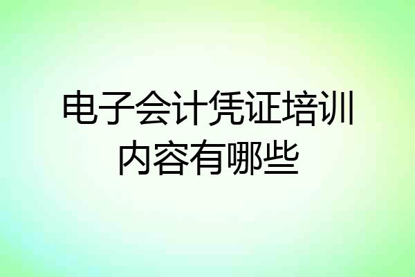 电子会计凭证培训内容有哪些