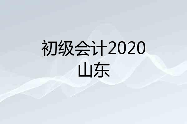 初级会计2020山东