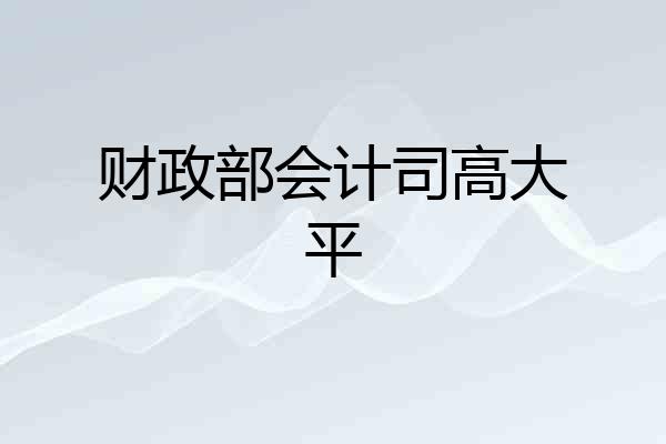 财政部会计司高大平
