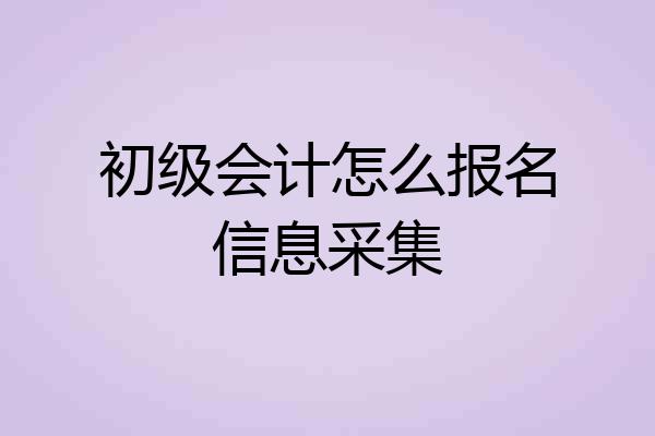 初级会计怎么报名信息采集