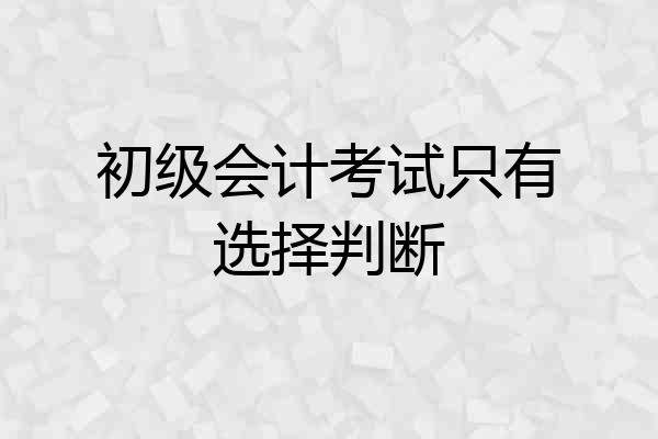 初级会计考试只有选择判断