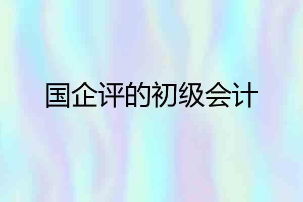 国企评的初级会计
