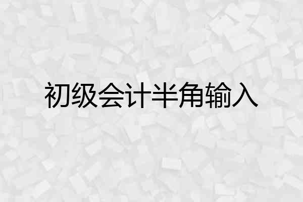 初级会计半角输入