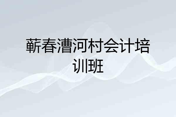 蕲春漕河村会计培训班