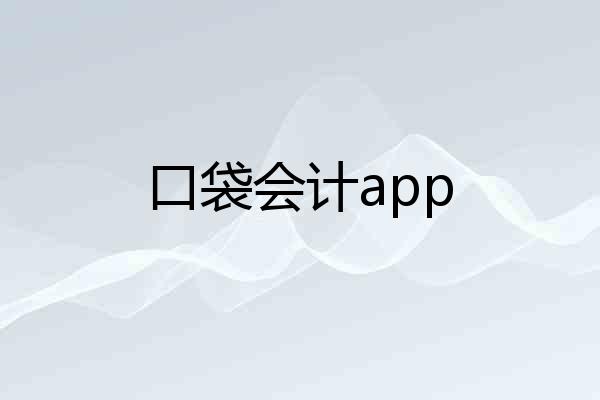 口袋会计app