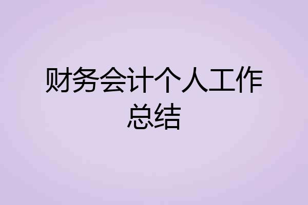 财务会计个人工作总结