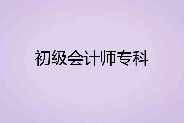 初级会计师专科
