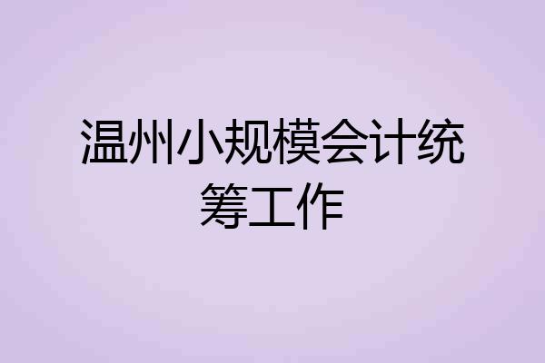 温州小规模会计统筹工作