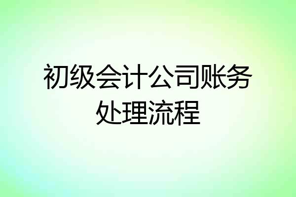 初级会计公司账务处理流程
