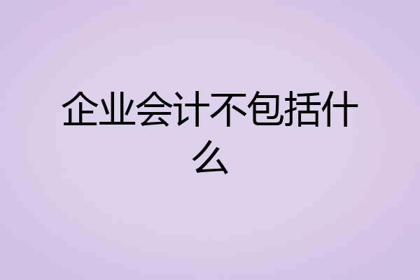 企业会计不包括什么