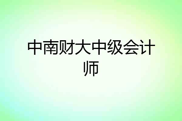 中南财大中级会计师