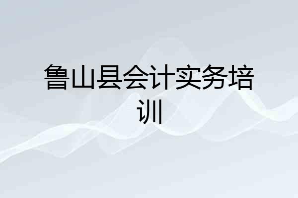 鲁山县会计实务培训