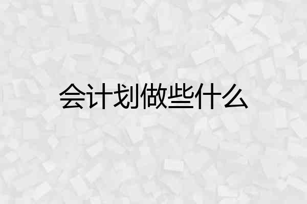 会计划做些什么