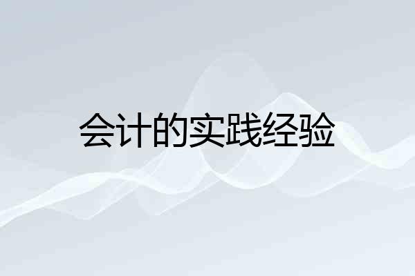 会计的实践经验