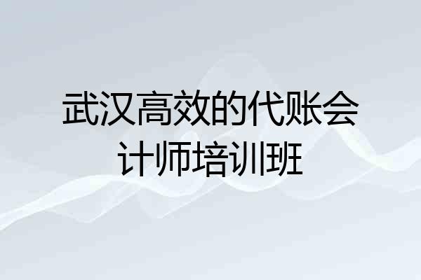 武汉高效的代账会计师培训班