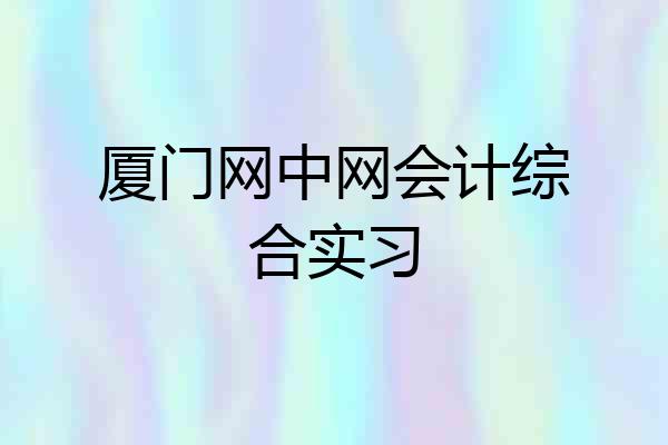 厦门网中网会计综合实习