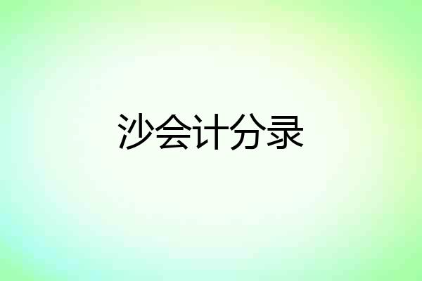 沙会计分录