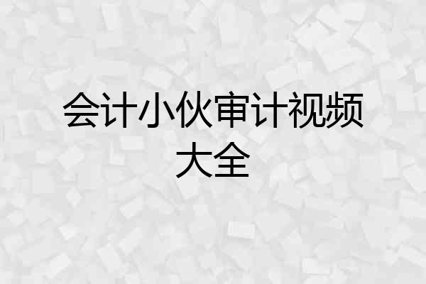 会计小伙审计视频大全
