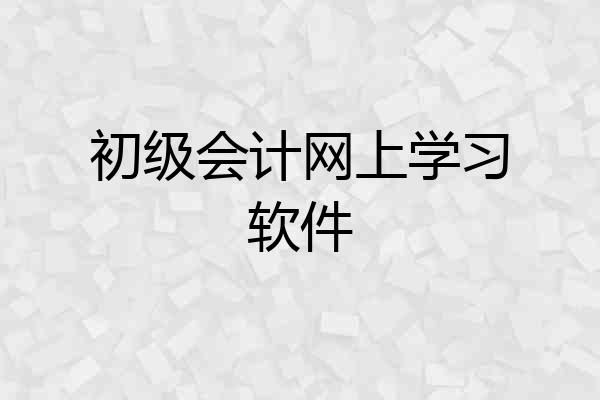初级会计网上学习软件
