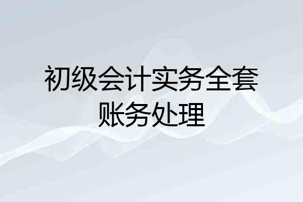 初级会计实务全套账务处理