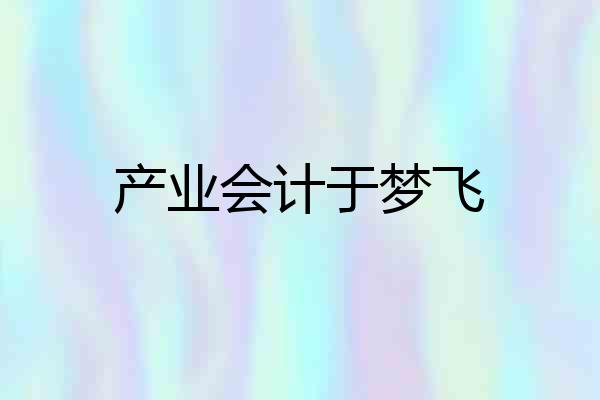 产业会计于梦飞