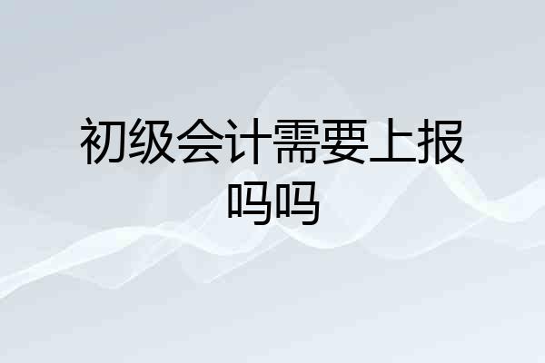 初级会计需要上报吗吗