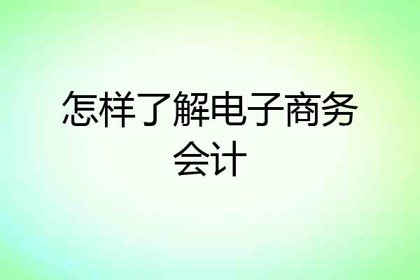 怎样了解电子商务会计