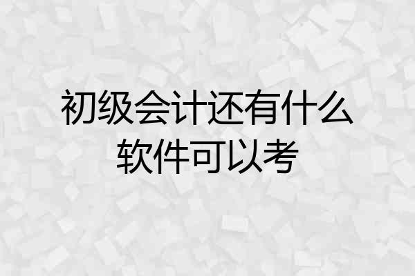 初级会计还有什么软件可以考