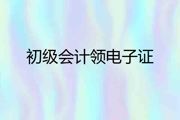 初级会计领电子证