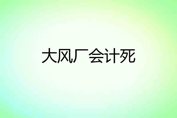 大风厂会计死