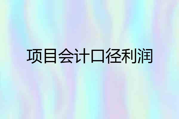 项目会计口径利润