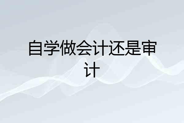 自学做会计还是审计