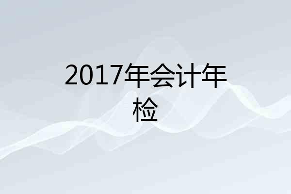 2017年会计年检
