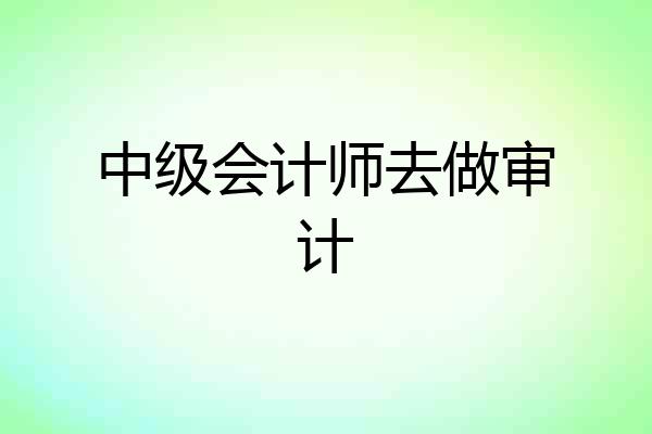 中级会计师去做审计