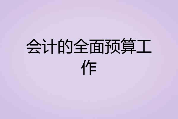 会计的全面预算工作